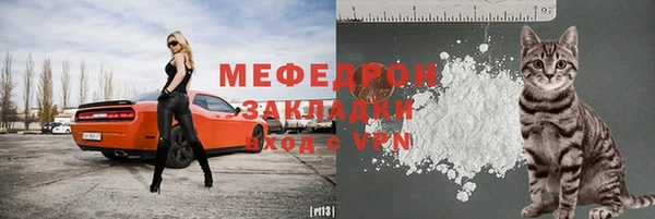 шишки Новодвинск