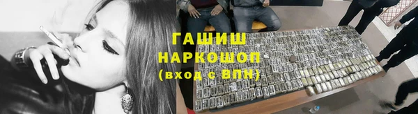 шишки Новодвинск