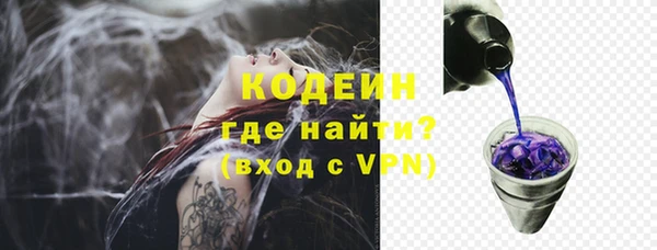 шишки Новодвинск