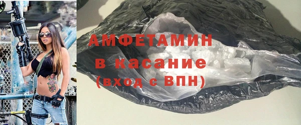 шишки Новодвинск