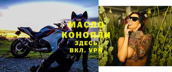 шишки Новодвинск