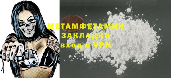 шишки Новодвинск