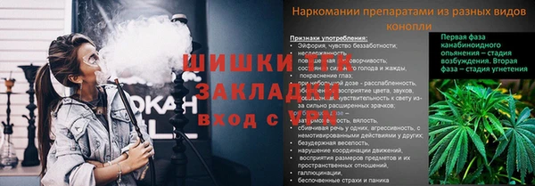 шишки Новодвинск