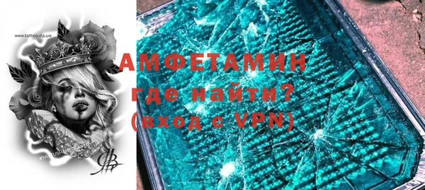 шишки Новодвинск