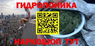 spice Волгодонск