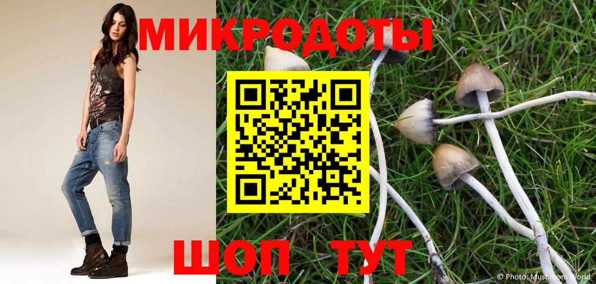 Галлюциногенные грибы GOLDEN TEACHER  Великий Новгород 