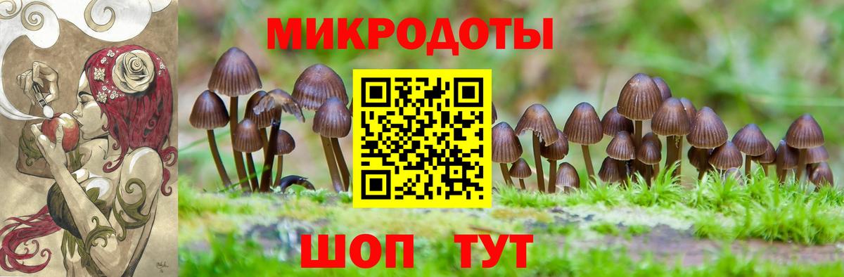 Гашиш Великий Новгород