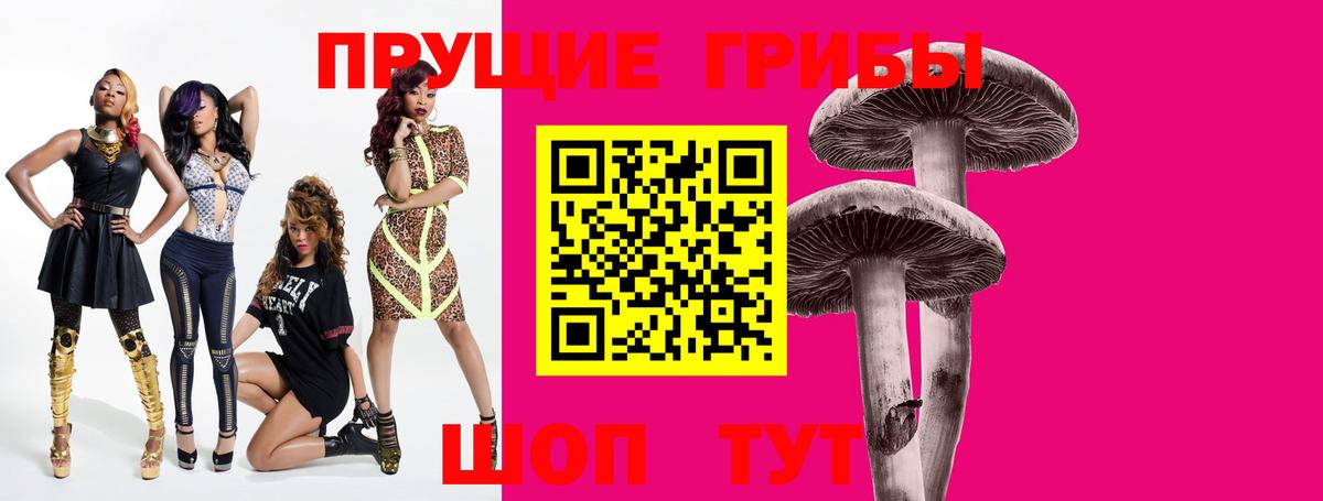 Псилоцибиновые грибы Cubensis  Вход с VPN  Великий Новгород 